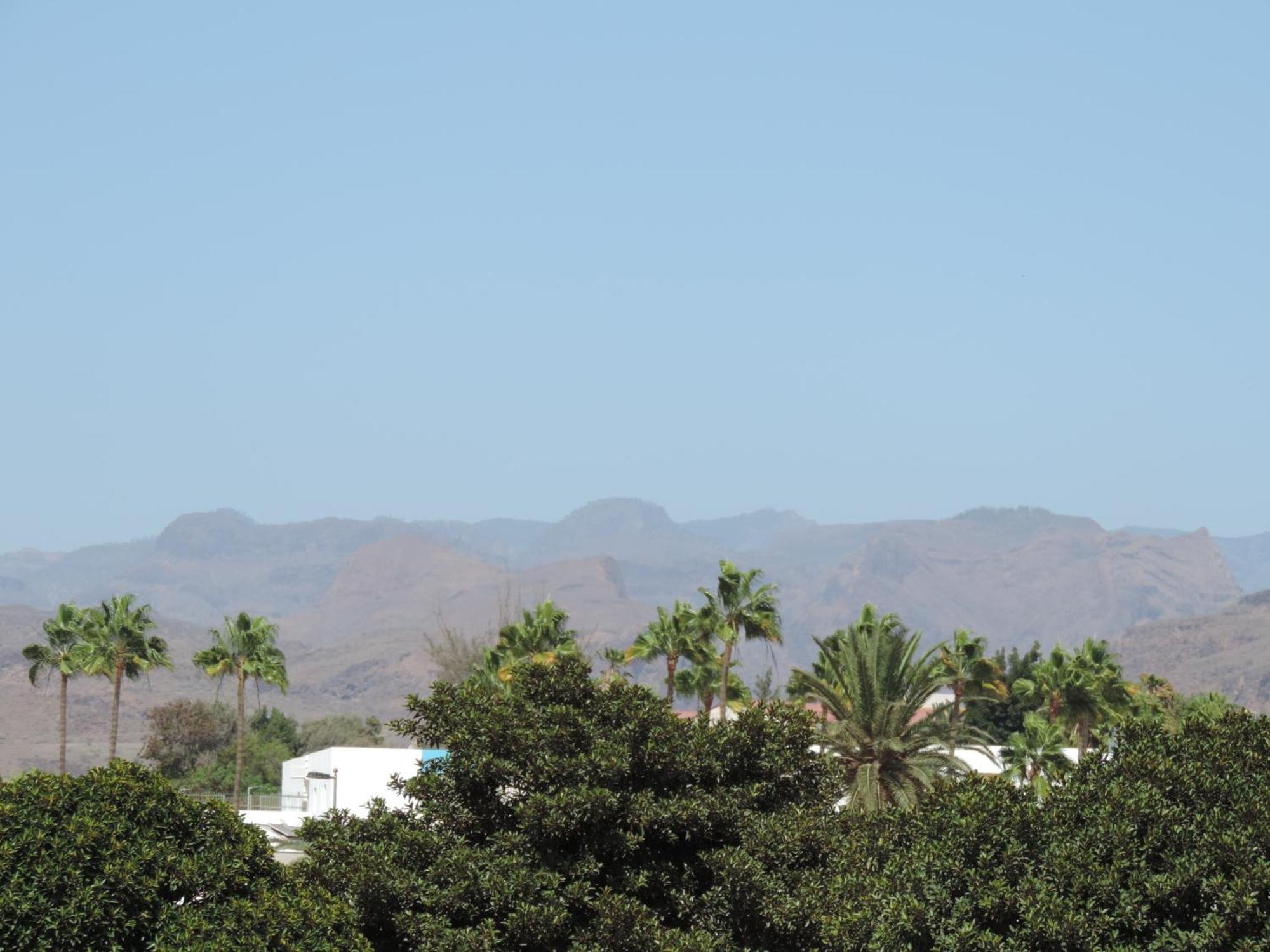 Appartement Bungalow Del Sol Maspalomas à Maspalomas  Extérieur photo